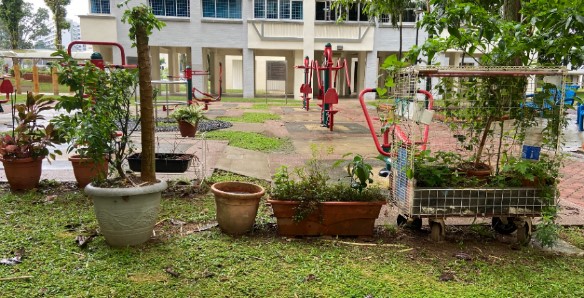 Outdoor learning activity.jpg